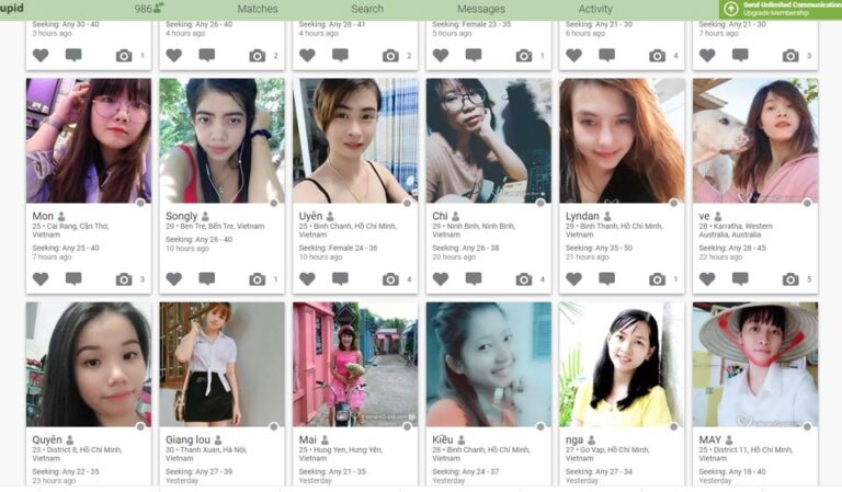 Revisión de VietnamСupid: conocer gente de una manera completamente nueva