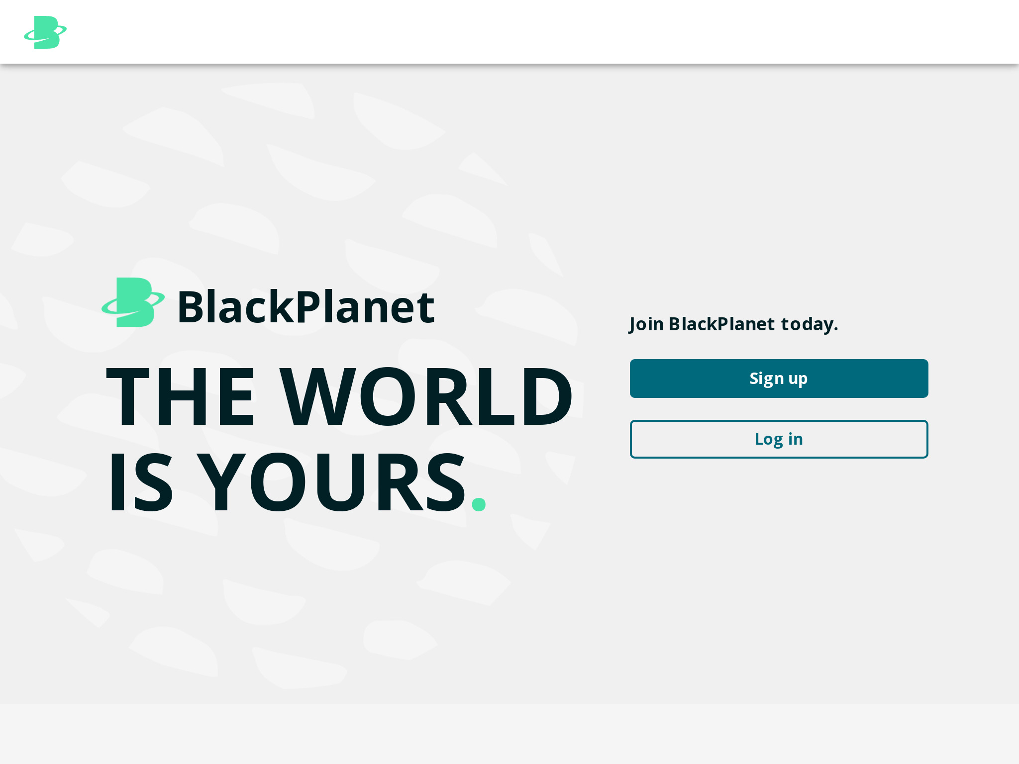 Blackplanet Review im Jahr 2023 – Lohnt es sich?