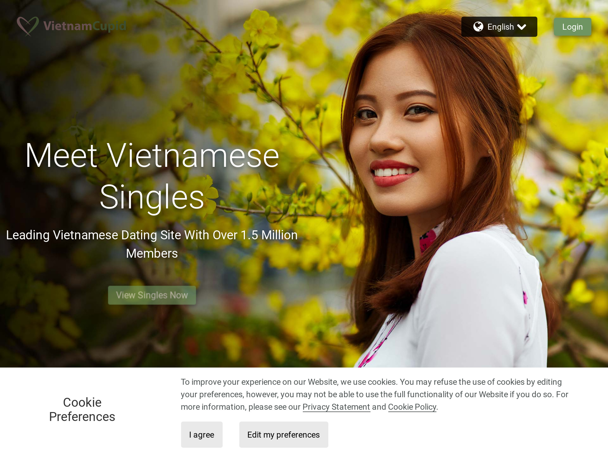 VietnamСupid Review – Menschen auf eine ganz neue Art treffen